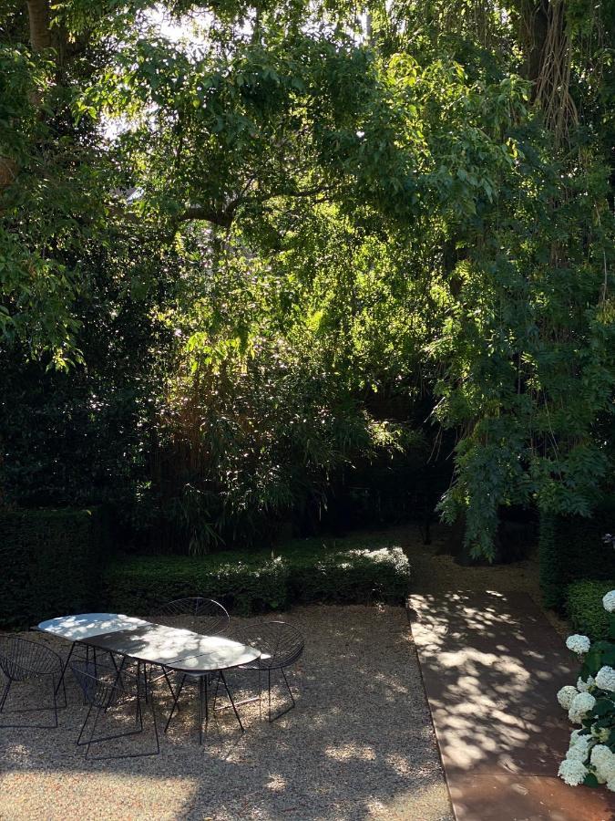 Bed and Breakfast Kind Of Oj Brujas Exterior foto